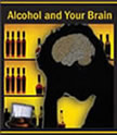alcohol and your brain