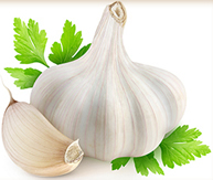 Garlic- a wonder plant